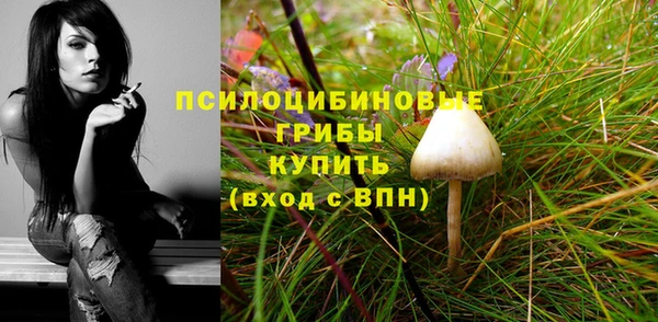 ALPHA-PVP Ельня