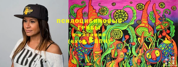 скорость Елизово